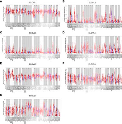 ELOVLs Predict Distinct Prognosis Value and Immunotherapy Efficacy In Patients With Hepatocellular Carcinoma